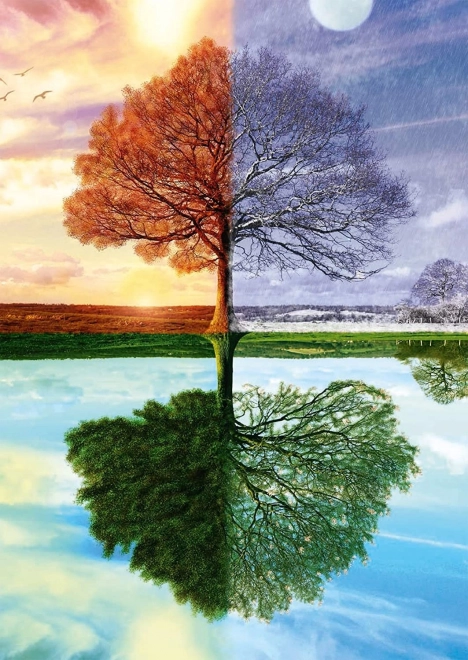 Four Seasons Tree Puzzle 500 pieces