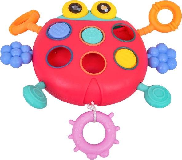 Development of the senses and motor skills