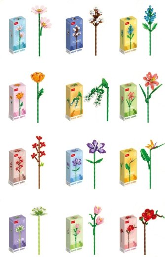 Florist krāsaini vasaras un pļavas ziedi (12 veidi)
