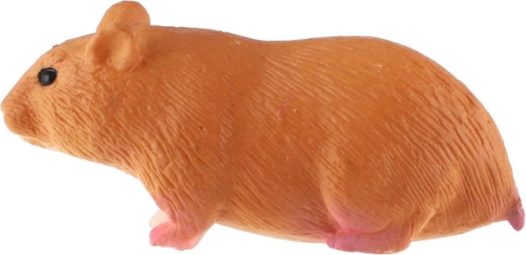 6 cm size