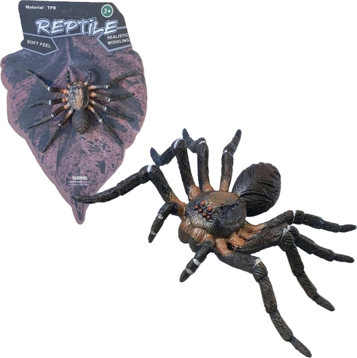Dzīvā daba: Wolf Spider – reālistisks zirnekļa modelis (12 cm)