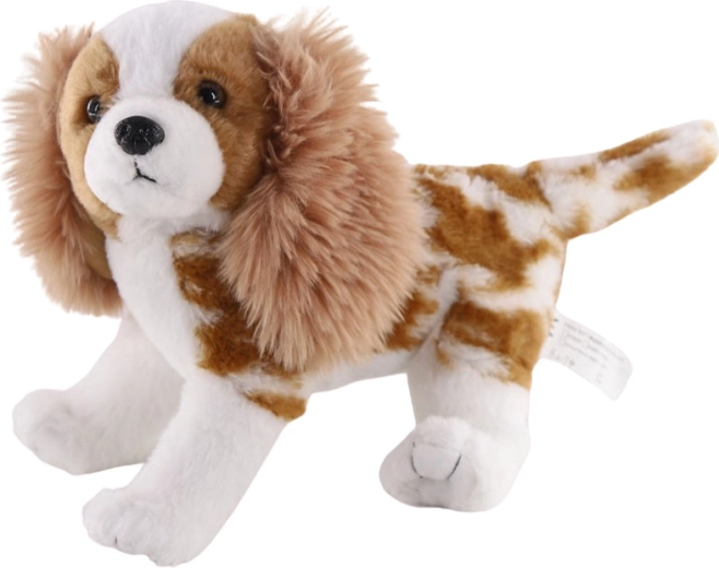 Plush Dog Cavalier King Charles Spaniel 26 cm