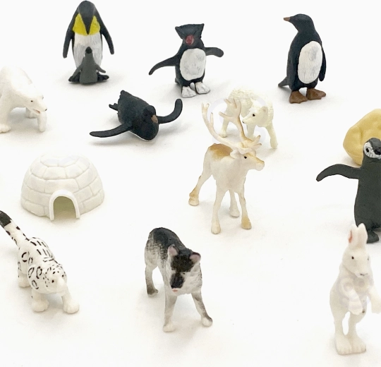 Arctic adventures at your fingertips