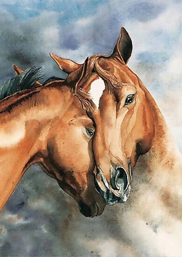 Norimpex Krāsošana pēc numuriem Zirgi 40 × 50 cm