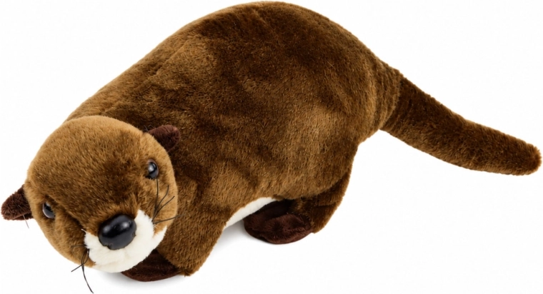 Realistic otter design