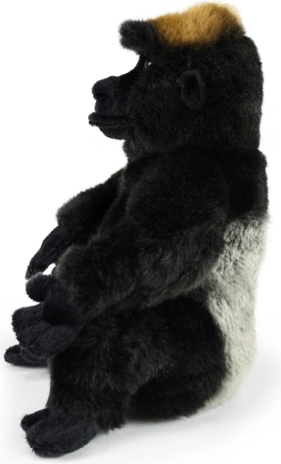Reālistisks gorillas izskats
