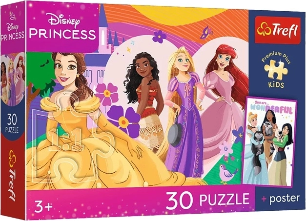 Premium Plus Kids Puzzle Disney Princesses and Friendship – 30 Pieces