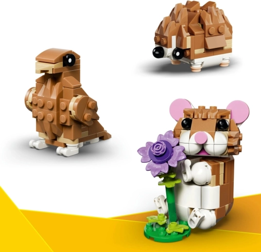 3 models in 1 for endless fun