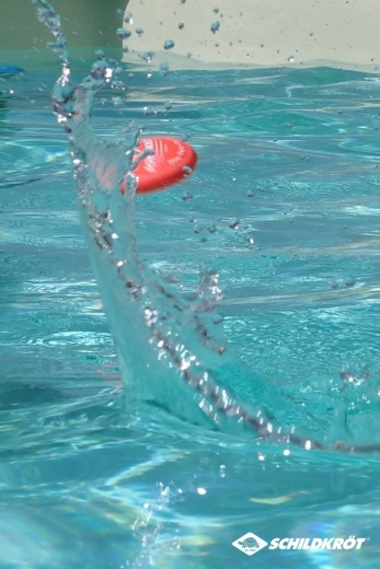 Schildkröt Ocean neoprene water skipping balls (3 pcs)