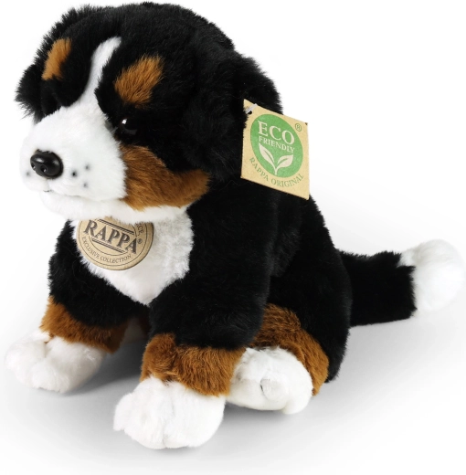 Realistic Bernese Mountain Dog design