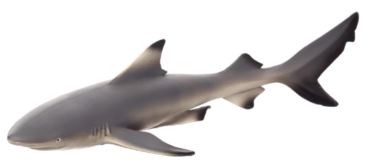 MOJO Blacktip Shark Figurine XL 16 cm