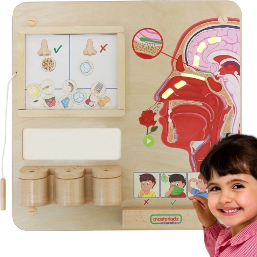 Masterkidz Montessori Sense of Smell Educational Board