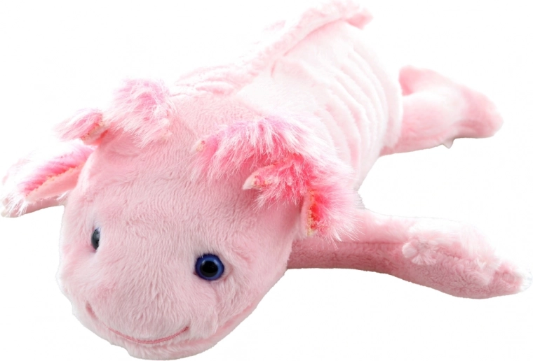Adorable axolotl details