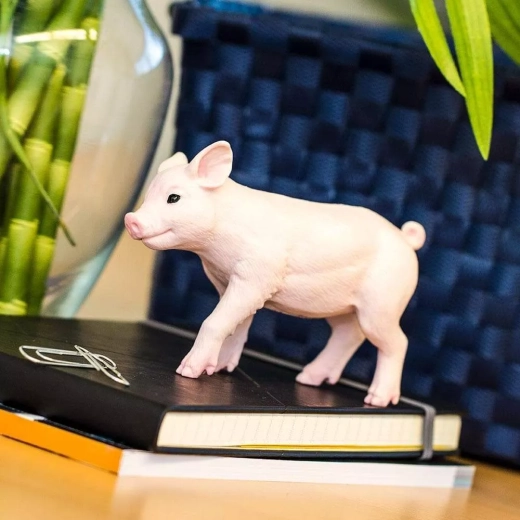 Zīmols Safari Ltd. – mācīšanās caur spēli
