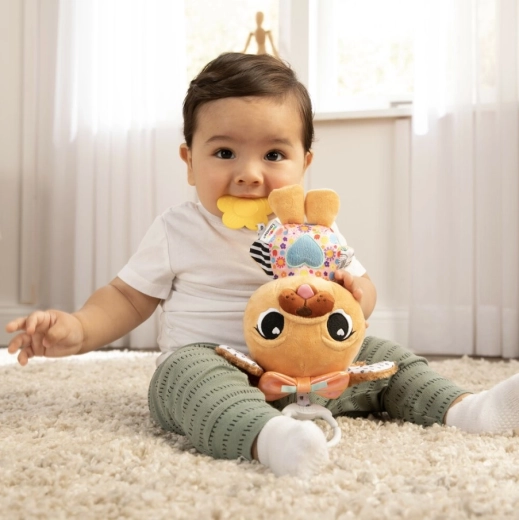 Safe teether for the teething period