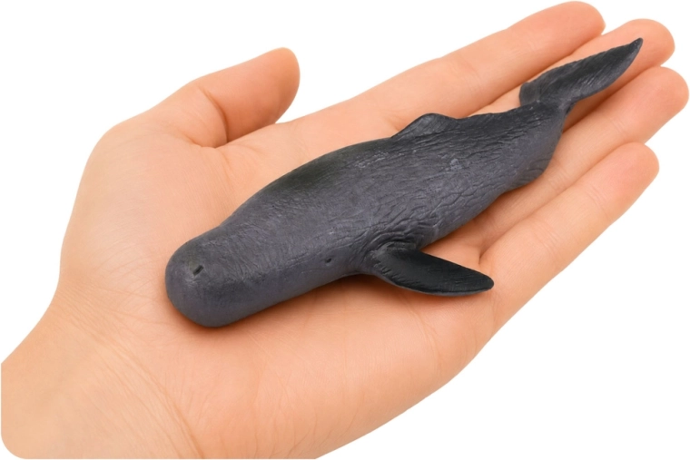 Soft and flexible thermoplastic rubber (TPR)