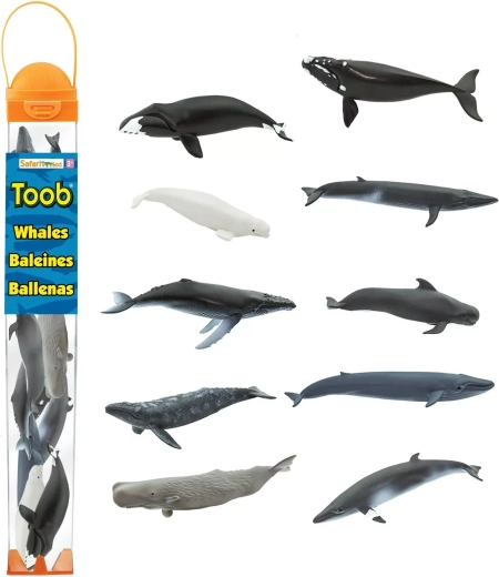 Safari Ltd. Toobs vaļu tuba (10 figūriņas)