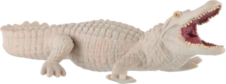 Rare white coloration