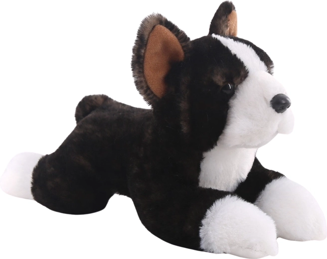 Plush Boston Terrier 25 cm