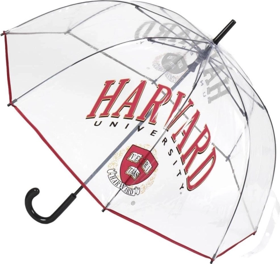 Caurspīdīgs XL lietussargs Harvard – 1 gab.