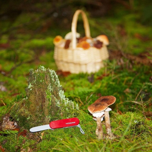 Licencēts VICTORINOX dizains