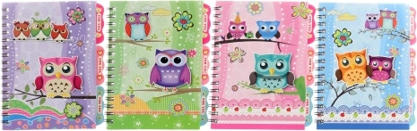 Owl Notebook