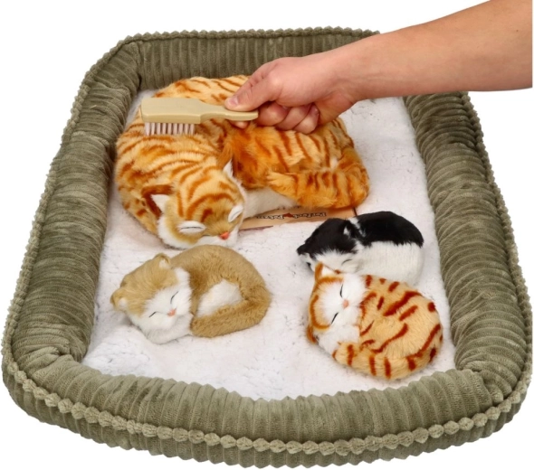 Pleasant plush design