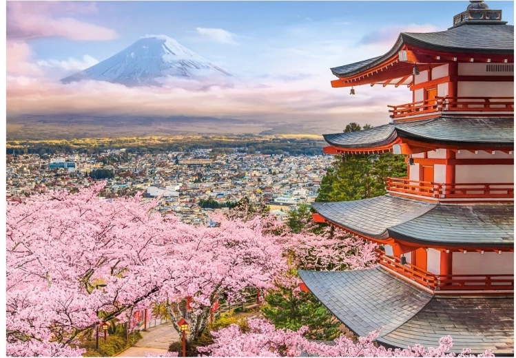 Castorland puzzle Spring in Japan 500 pieces
