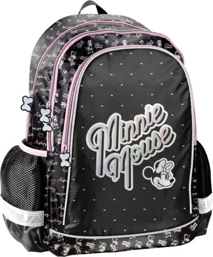 Gudra skolas piederumu organizācija