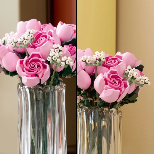 Roses in several stages of bloom