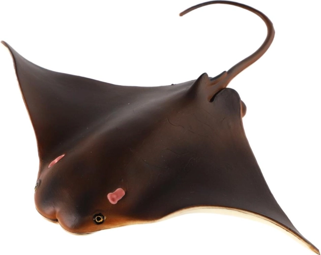 Faithful representation of a marine stingray