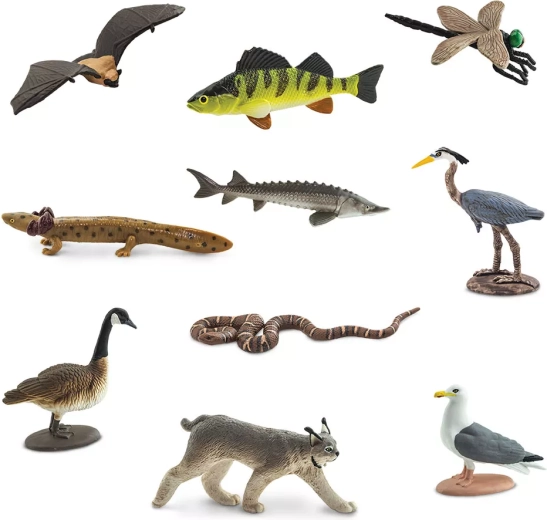 10 dzīvnieku miniatūras no Lielo ezeru apgabala