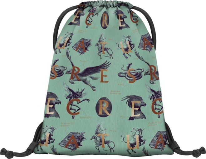 Harry Potter Fantastic Beasts Bag