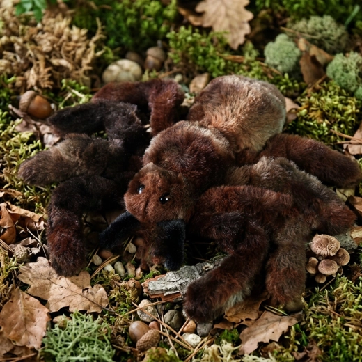 Eco-Friendly pildījums