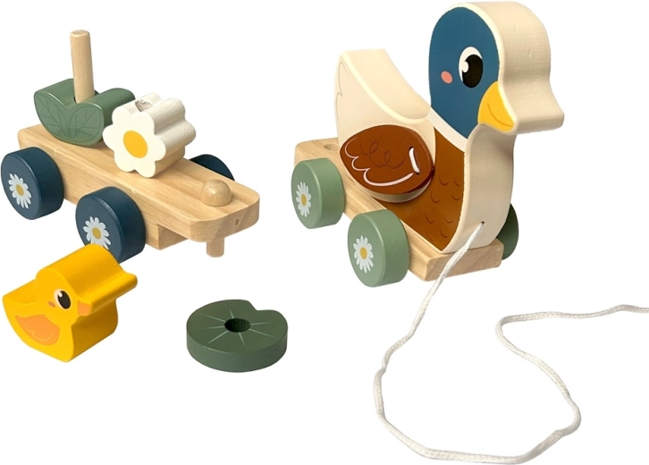 Developing motor skills in a fun way