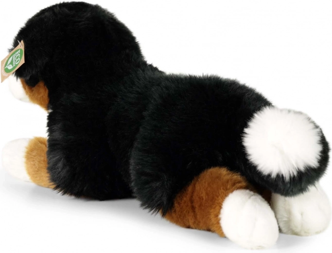 True-to-life Bernese Mountain Dog appearance