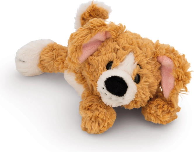 NICI plush brown dog lying Green