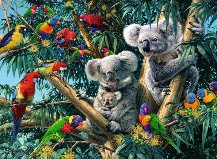 Puzle Ravensburger Koalas kokā – 500 gabali