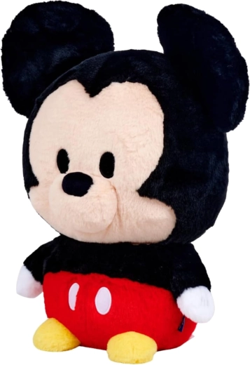 Iconic MICKEY MOUSE look