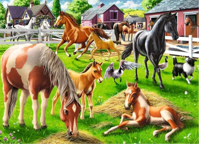 Ravensburger Puzzle Happy Horses 60 Pieces