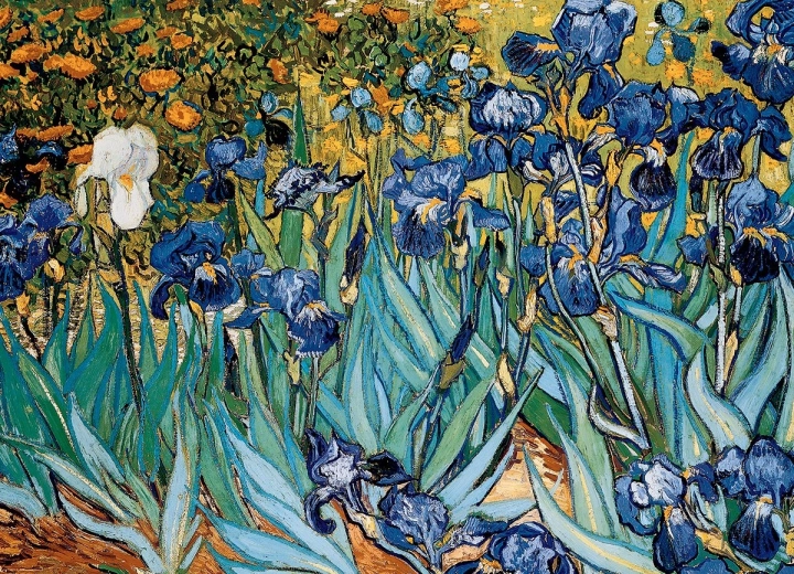 Puzzle EUROGRAPHICS Irises 1000 pieces