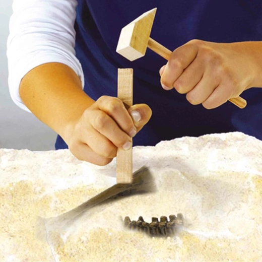 Excavation like a real paleontologist