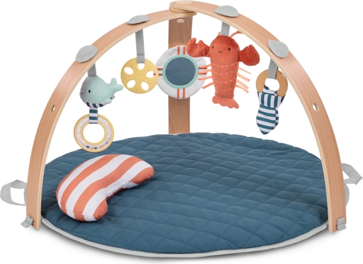 Ingenuity Harbor Haven™ Reversible Play Mat with Activity Gym