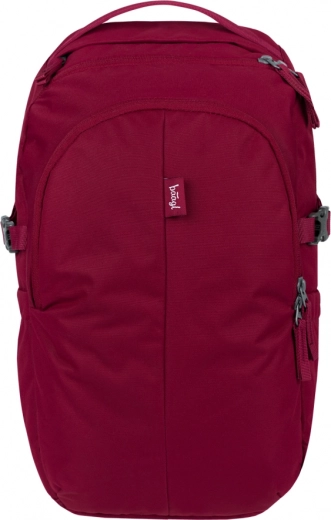 Baagl mugursoma Dash bordo