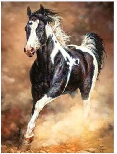 Norimpex Krāsošana pēc numuriem — zirgs auļo smiltīs, 40 × 50 cm