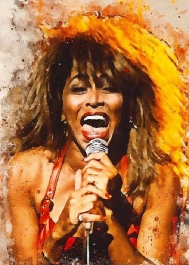 Norimpex dimanta gleznošana Tina Turner dzied 30 × 40 cm