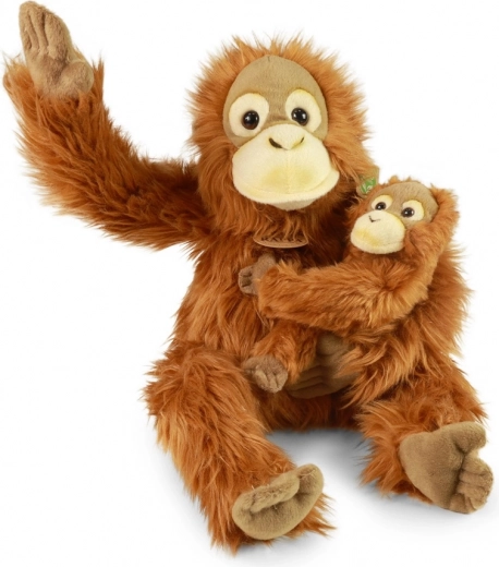 Divas rotaļlietas vienā