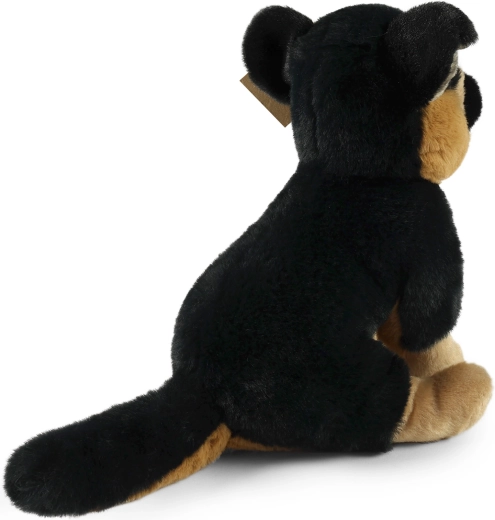 Ideāls mīļdzīvnieks ceļojumiem un gultiņai