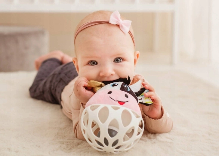 Soft cow for babies
