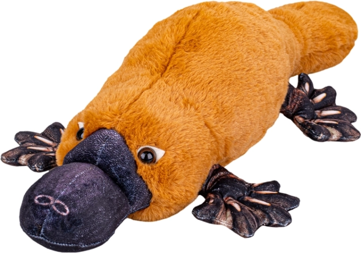 Plīša pīļknābis 50 cm – mīksts guļošs mīlulis